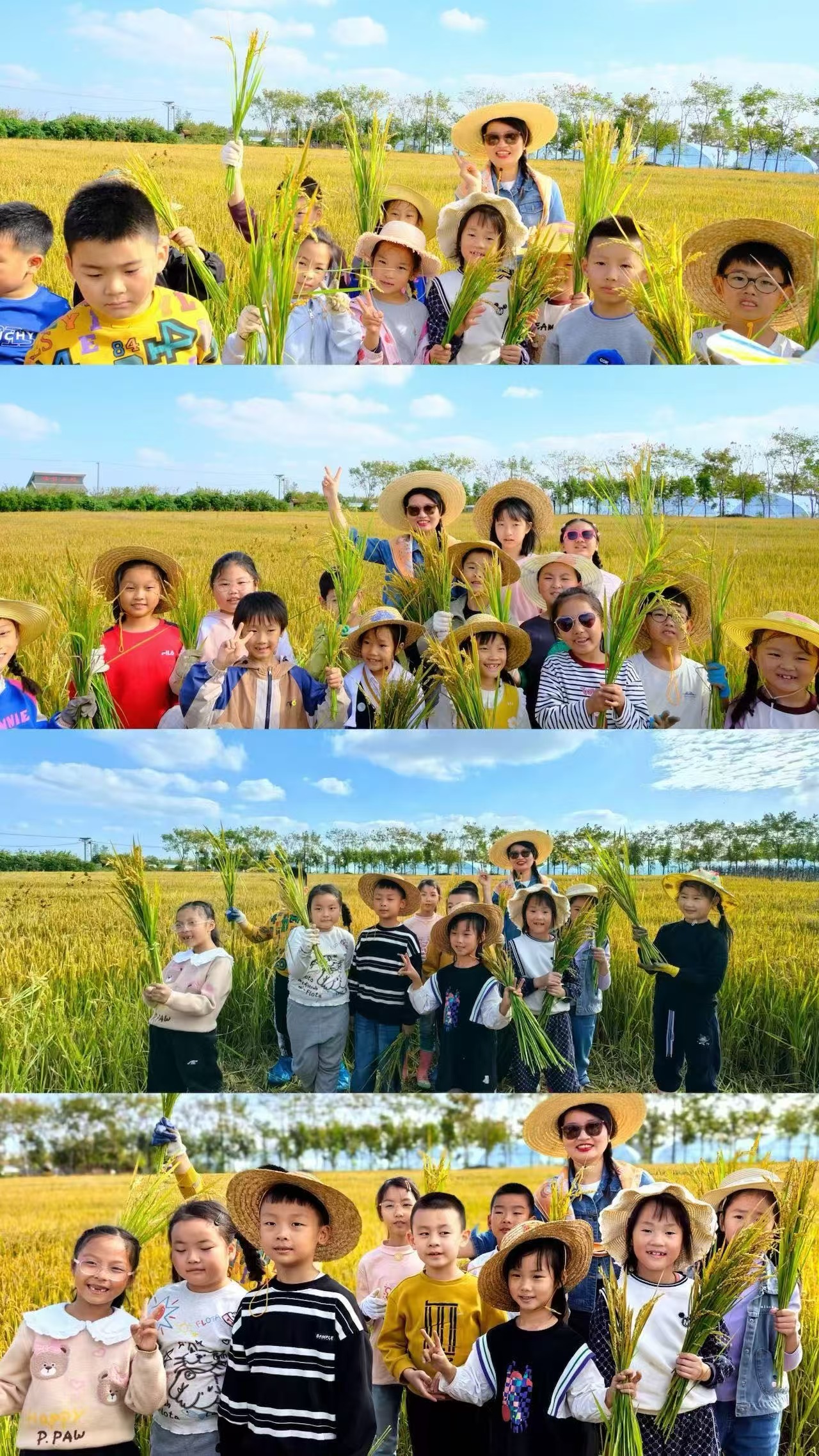 童心探自然 一起”趣“秋收_html_4a8144a2.jpg