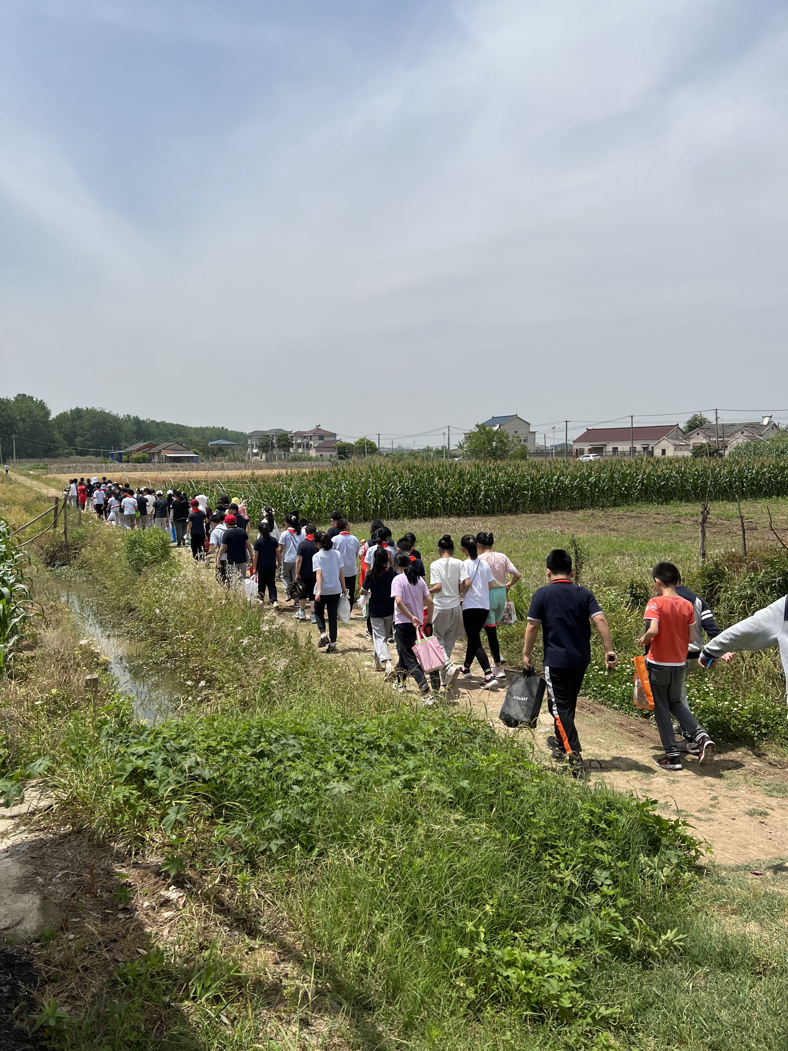 快乐土豆田，“薯”你最会玩！_html_6a875fa1.jpg