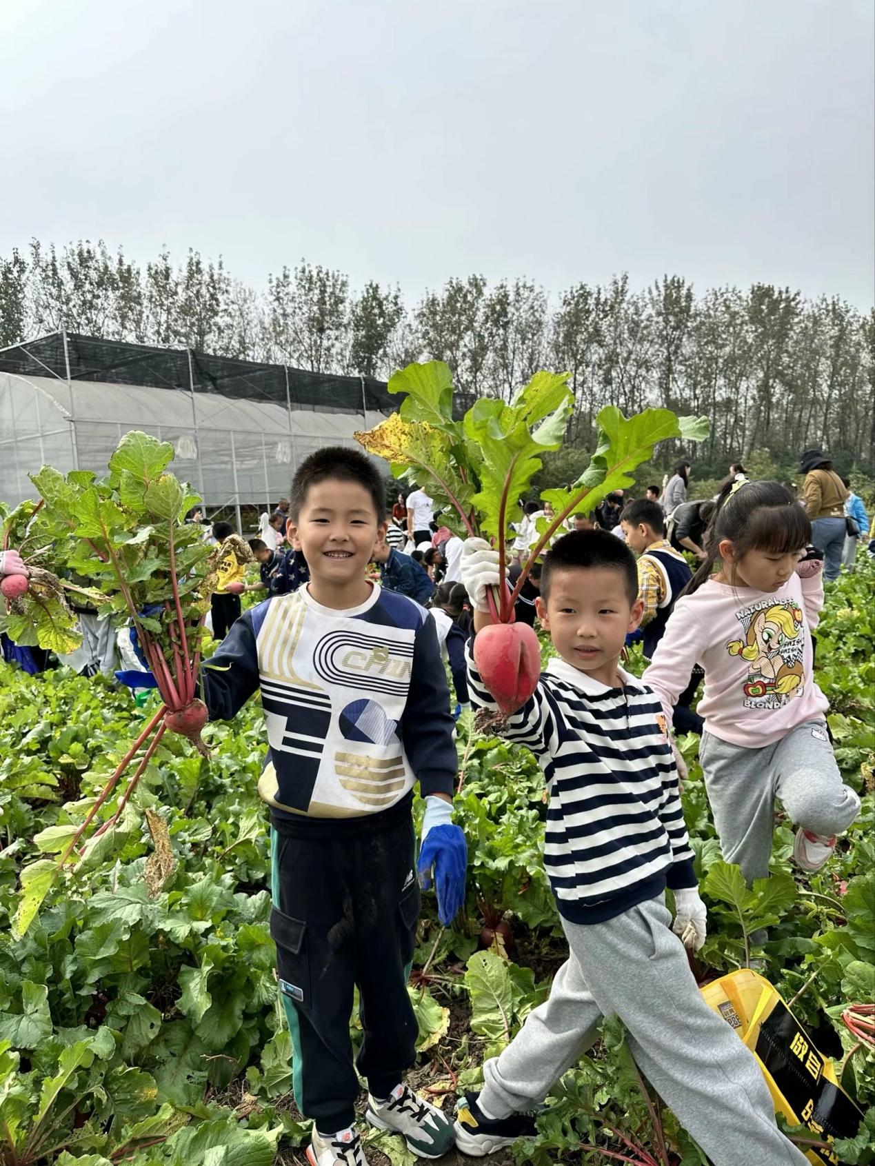 趣事一”萝“筐_html_7dfaa33f.jpg