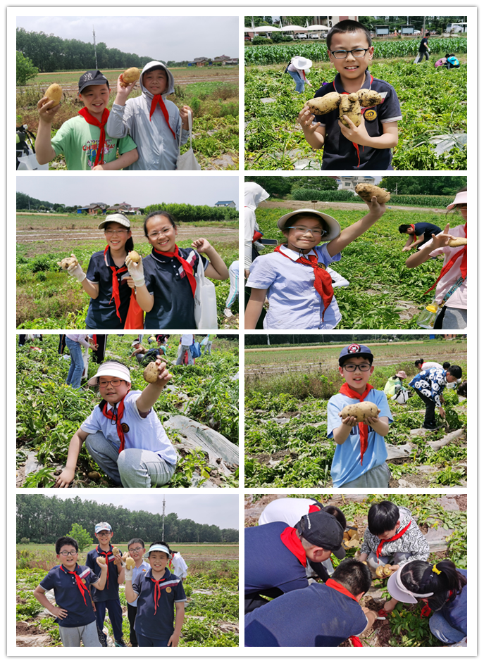 小水滴挖土豆：尹紫力_html_m428f1547.png
