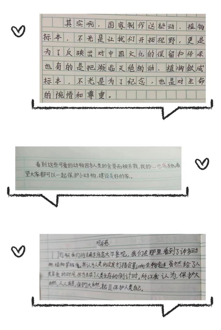 【丁香汉声·学生成长营】科普知识育童心 生物保护我先行(1)_html_m1650791f.jpg