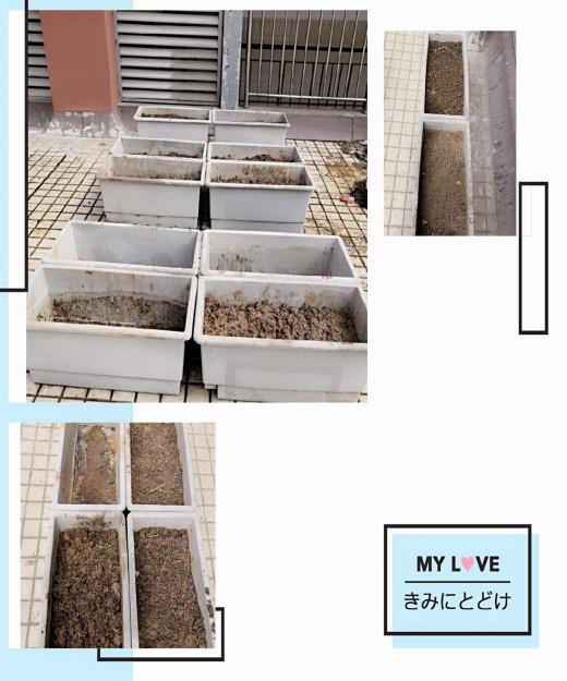 4.16南京市丁家庄小学雨前防控检查侧记_html_m3e306199.jpg