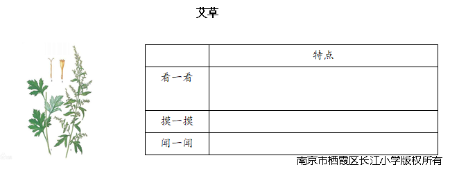 11.png