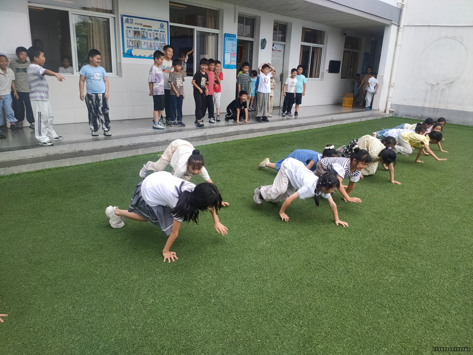 IMG20250619124316.jpg