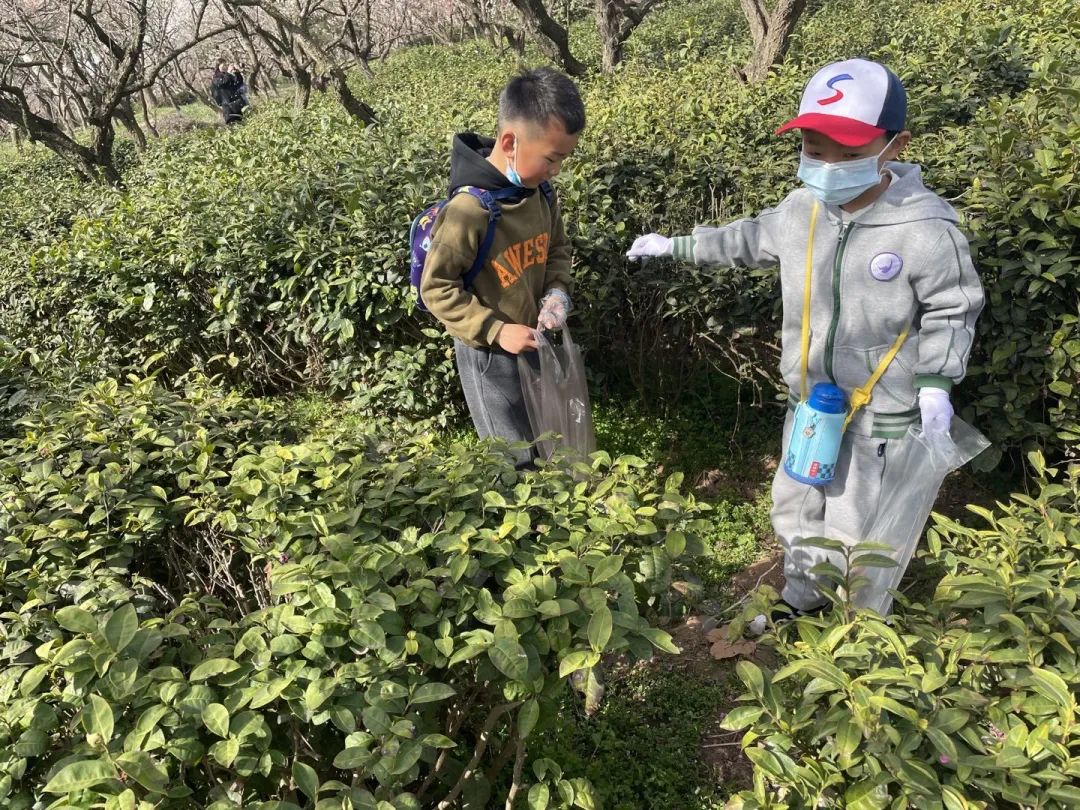 梅花山_html_4ea34efb.jpg