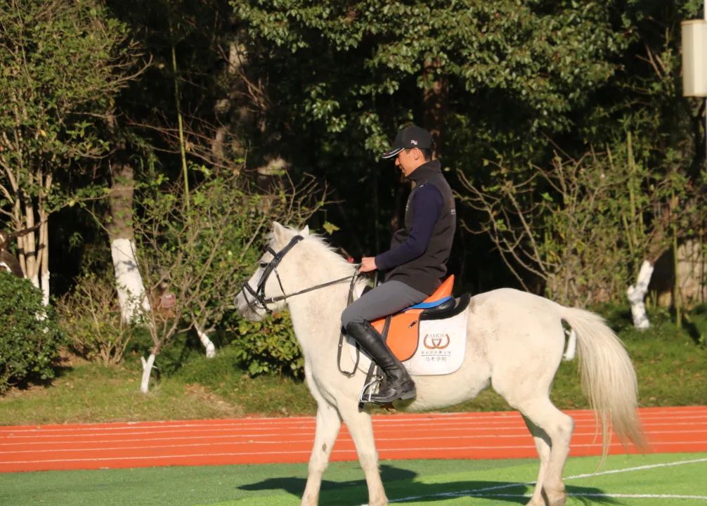 10.24马术_html_m1934fe5c.jpg