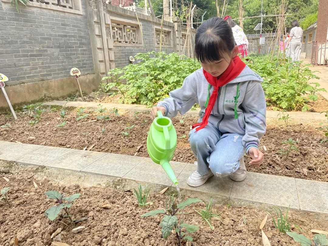小满_html_m62b6100.jpg