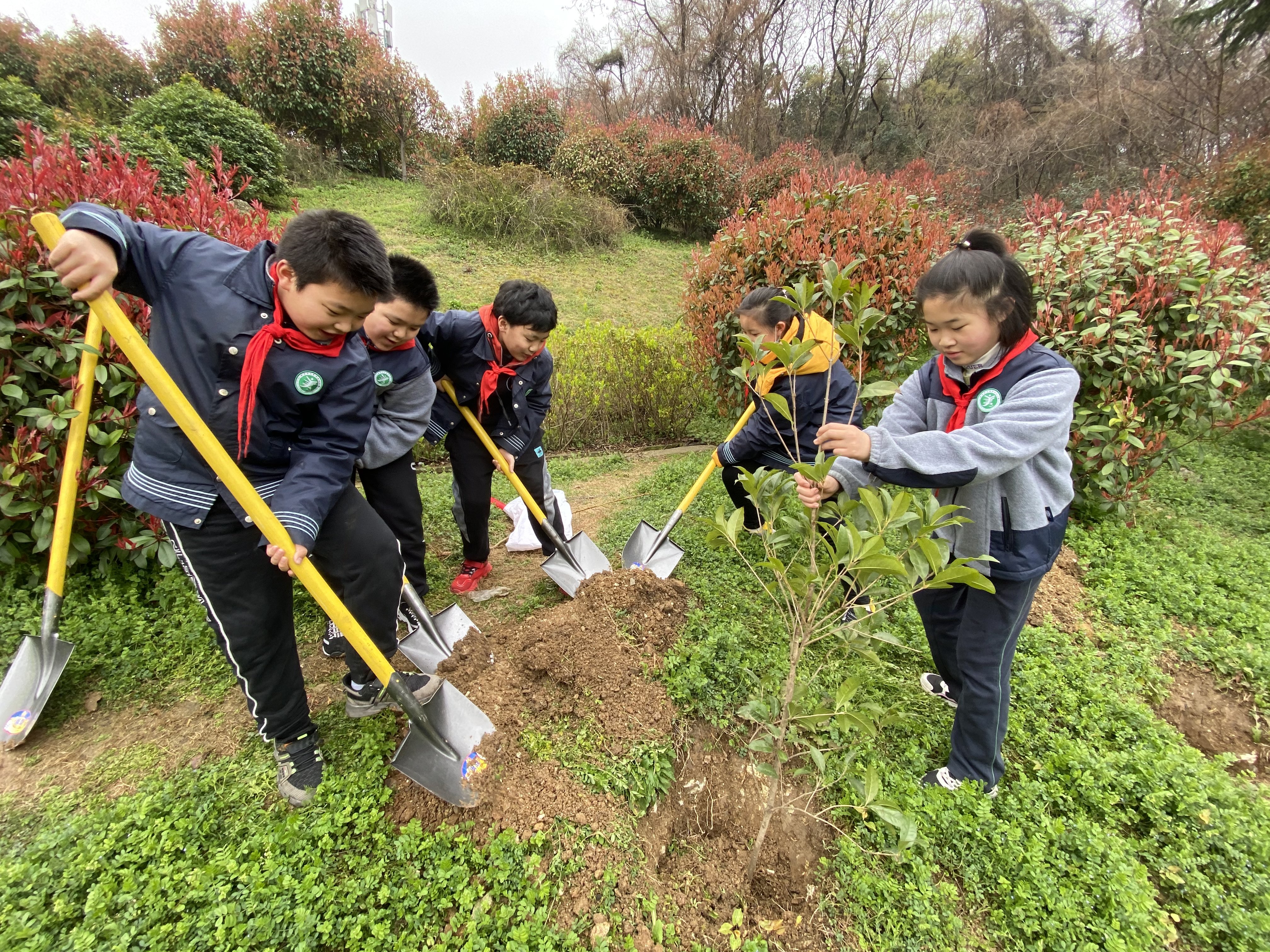 雏鹰心向党 共植英雄树_html_m4c0b77ec.jpg