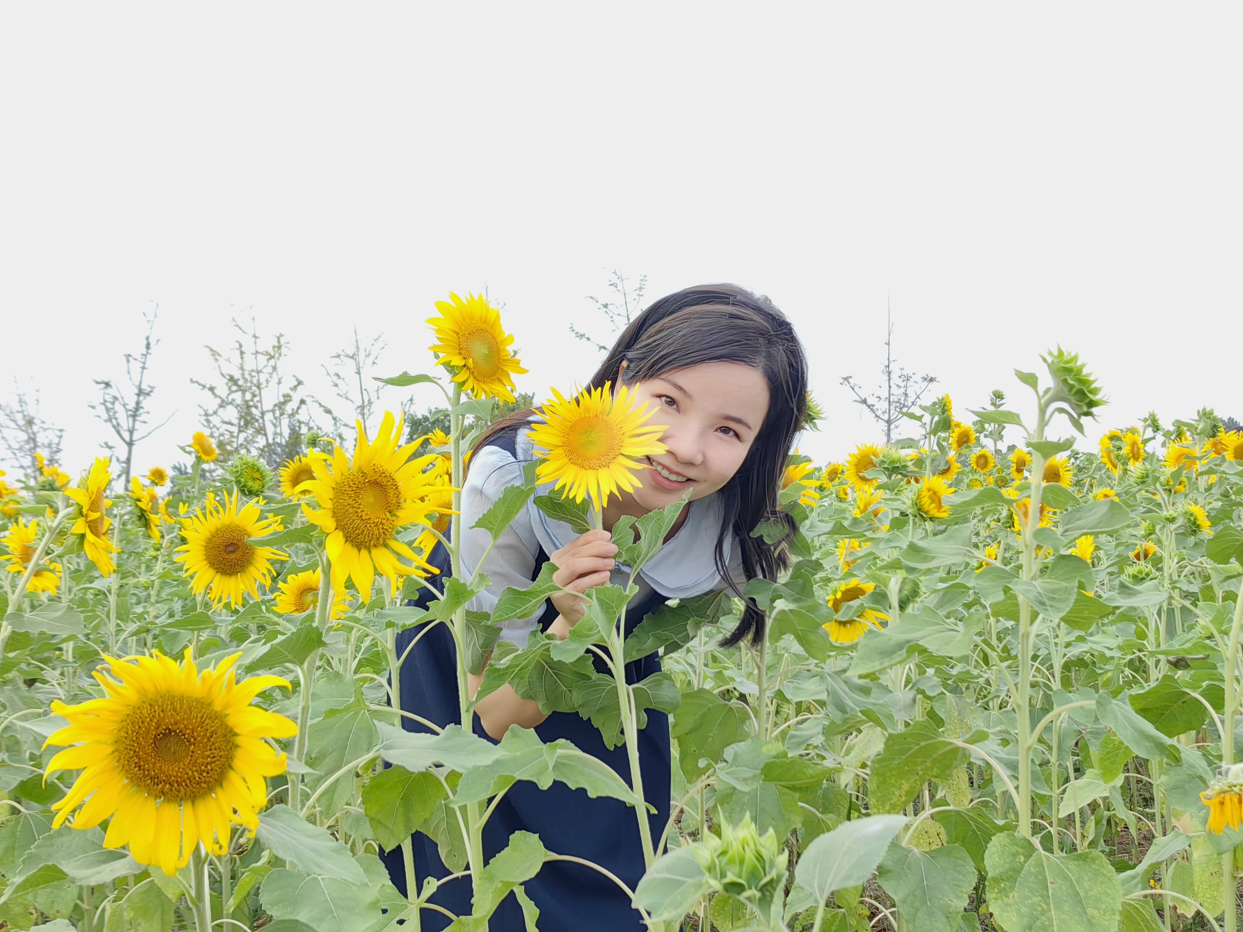 方芳介绍 改2_html_1729da01.jpg