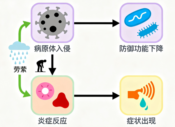 640 (1).png 640 (1).png