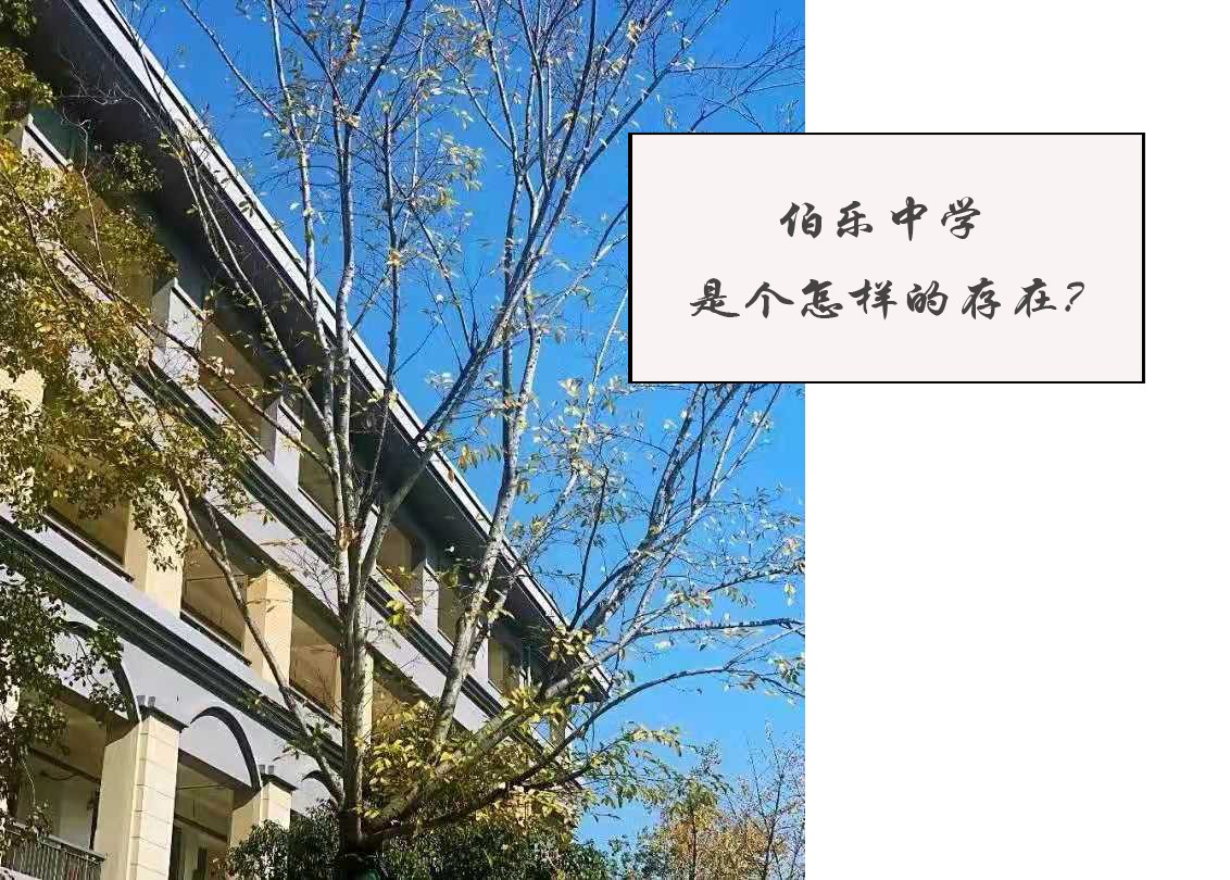 未标题-1.jpg