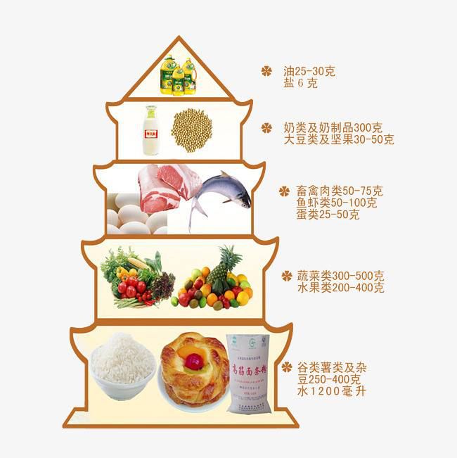 合理膳食.jpeg