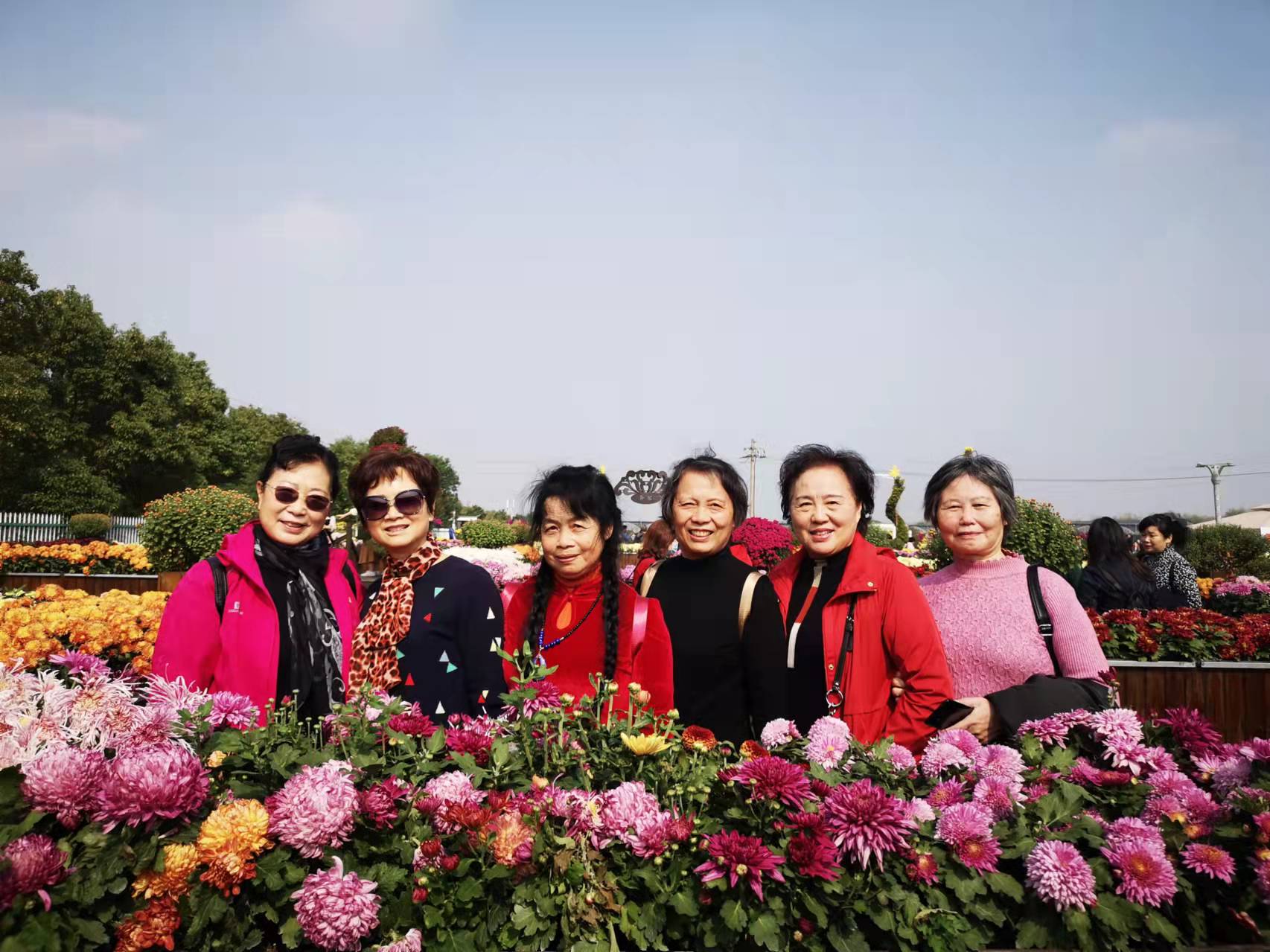 踏秋赏花  欢度重阳20211027通讯稿_html_m81f0d95.jpg
