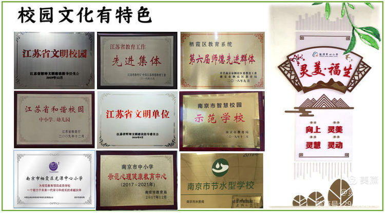 图片11.png