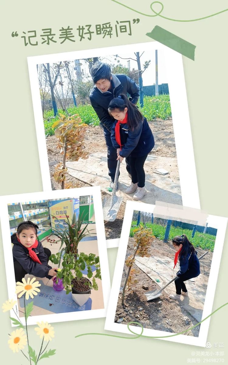 【灵美龙小·德育】春风十里，植此青绿——龙潭中心小学（本部）开展植树节系列活动_html_m60e15217.jpg
