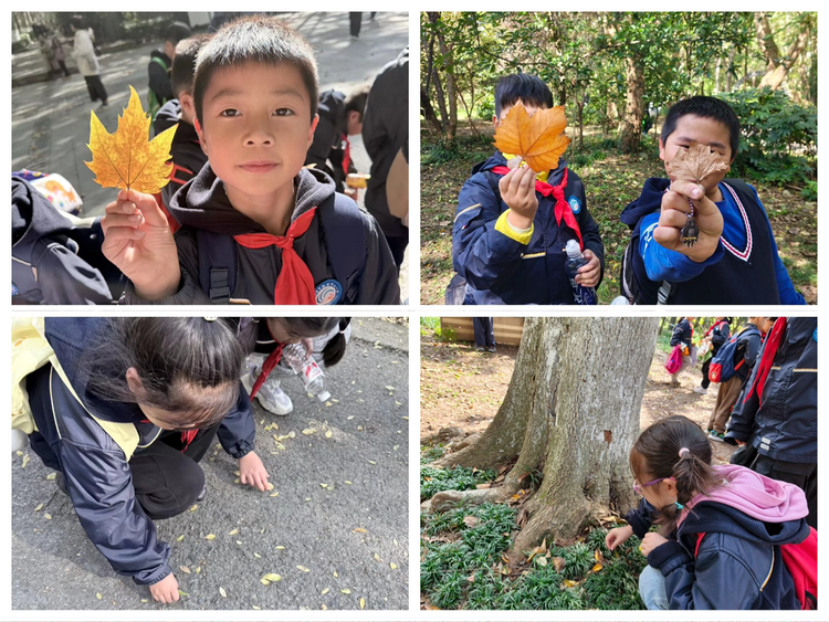 2025.11.11探秘植物王国 感受自然奇妙——龙潭中心小学开展2025年秋季社会实践活动_html_25ac4519.png