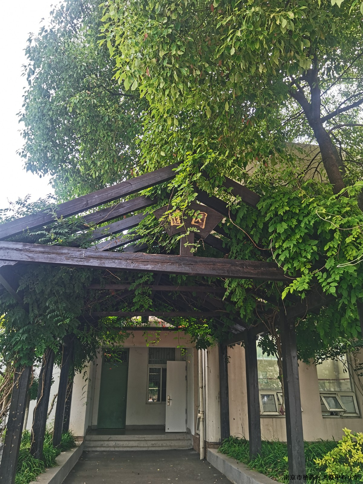 【灵美龙小•江畔】初夏不负校园美景