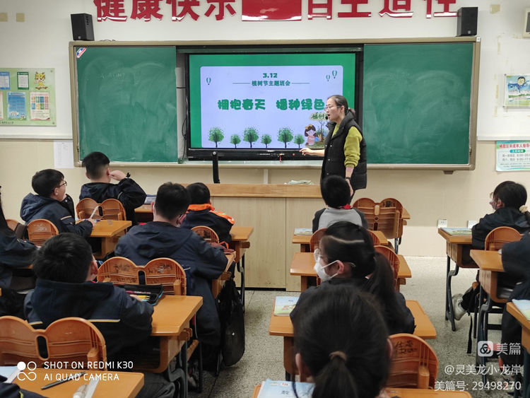 【灵美龙小·龙岸】添一抹绿色，多一份美好_html_2227cfb.jpg