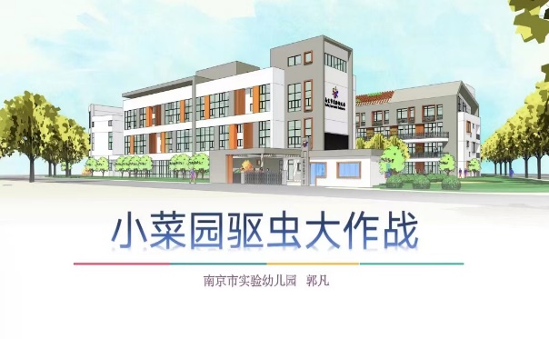 221028聚焦项目化学习 让学习真实发生——栖霞幼儿园五福园业务学习之综合课程理念下项目教学活动实施培训_html_m2d4e546a.jpg