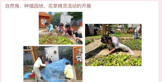 230110收获硕果追光而行——记栖霞幼儿园翡翠天域园科学教研组总结会_html_55c300a5.jpg