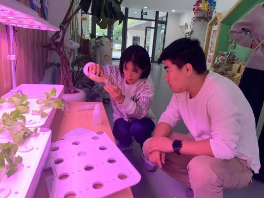 241021专业示范赋师能 行思共研领前行——栖霞幼儿园翡翠天悦园无土栽培教师培训_html_m7e1244c.jpg