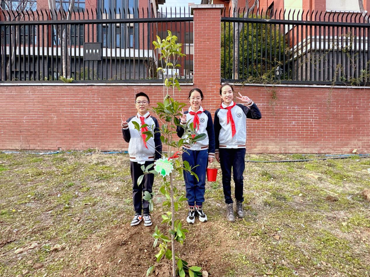 相约春天 共植希望——记金陵小学2024年植树节活动_html_m31e2a9d4.jpg