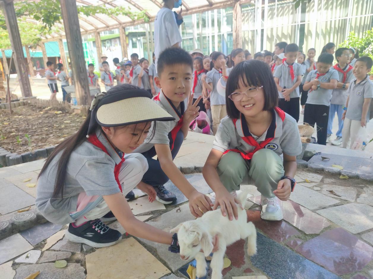 【博学广志】夏日劳作晓农事 科技研学促成长——记金陵小学（广志路校区）7.27日劳动研学活动_html_27a85263.jpg