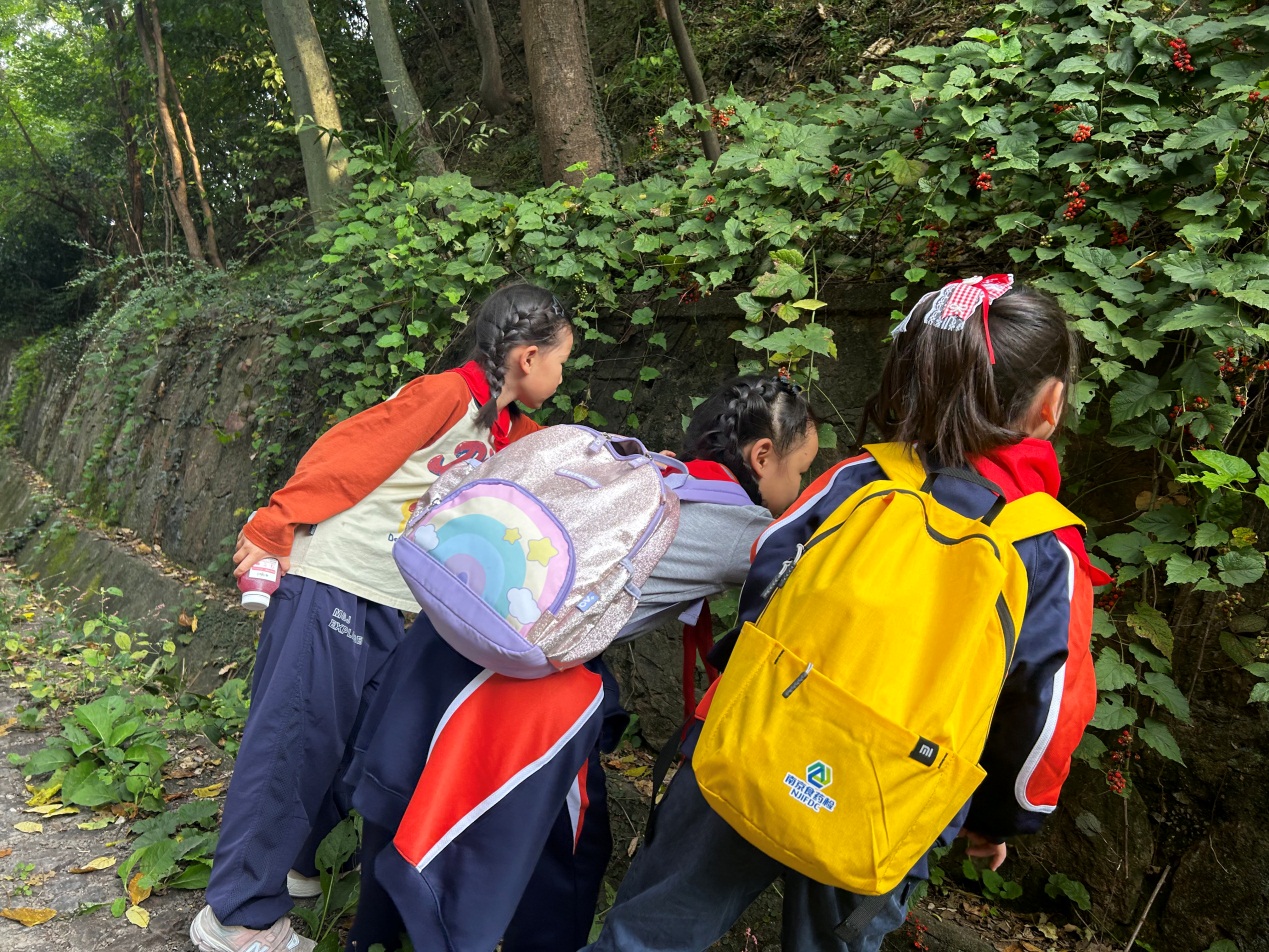 【湖畔·学生活动】向阳而生，逐光而行——金陵小学（仙林湖校区）二年级（1）班亲子登山活动_html_m36acffbe.jpg