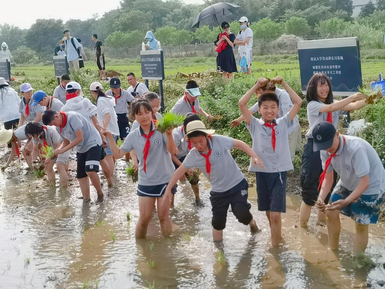 【湖畔光影】田间插秧践初心 红色传承担使命——记金陵小学（仙林湖校区）劳动实践活动_html_f74ef97.jpg