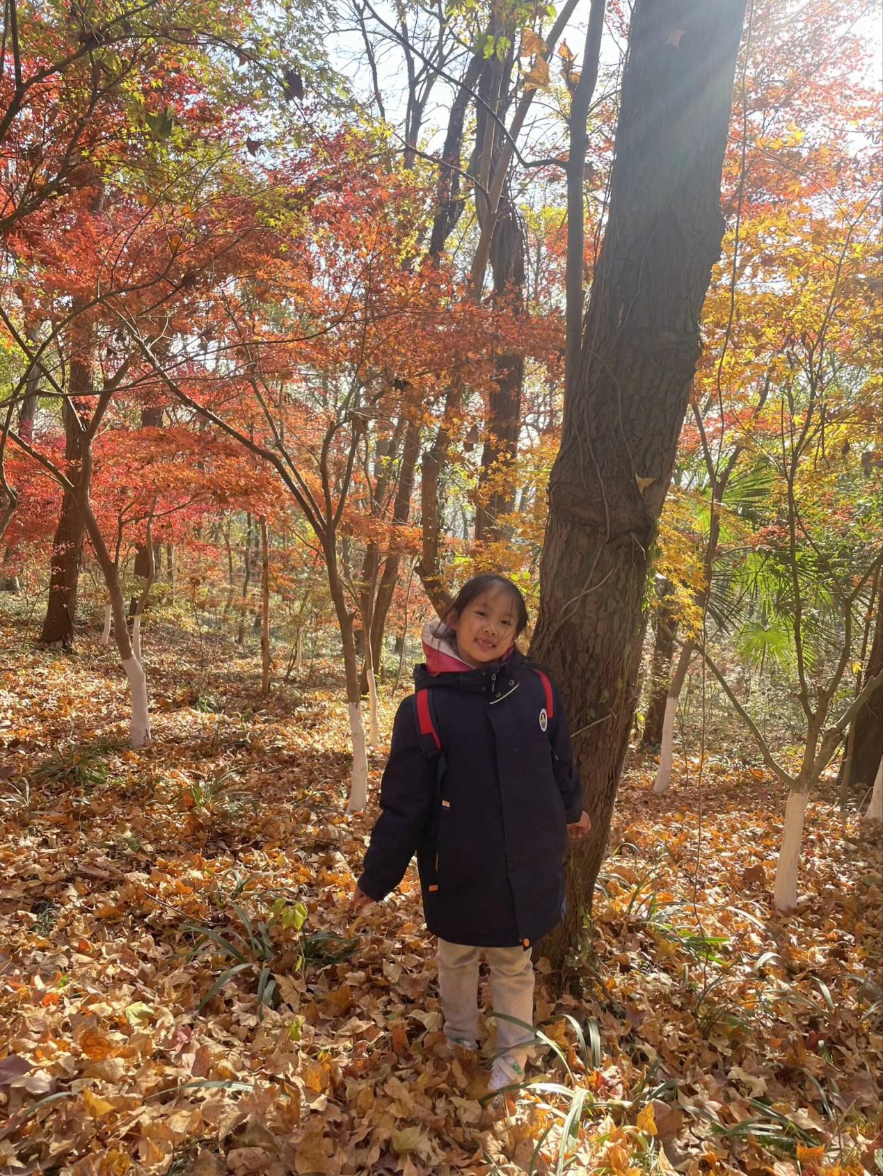 【湖畔·红领巾】同游栖霞山，共赏红枫节——记金陵小学（仙林湖校区）2023级5班团建活动_html_m3f63ebaa.jpg