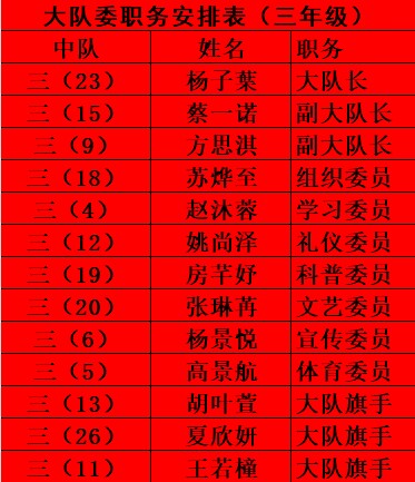 【湖畔·红领巾】筑梦红领巾，少年勇担当——金陵小学（仙林湖校区）2024-2025学年大队委换届选举_html_m8ab1e10.jpg