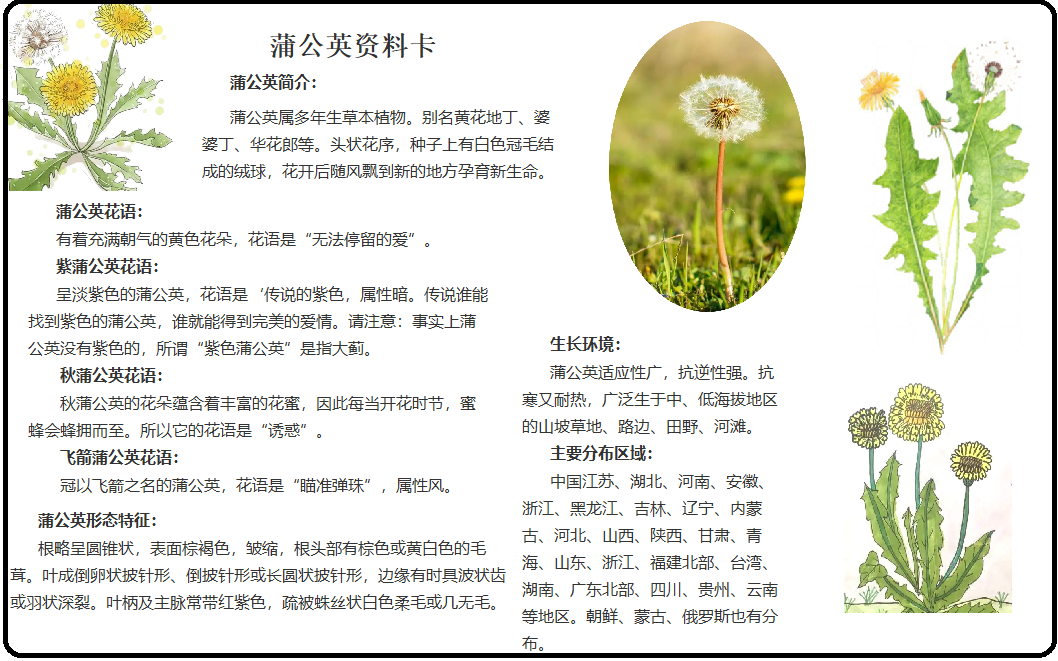 【博学广志】科普筑梦广志路，飞舞旅行蒲公英(1)_html_m17adea5.png