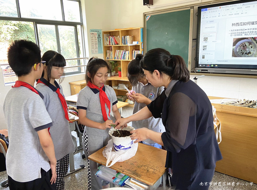 220617【养善栖小·教学】栖霞中心小学综合实践活动组教研活动图片2.jpg