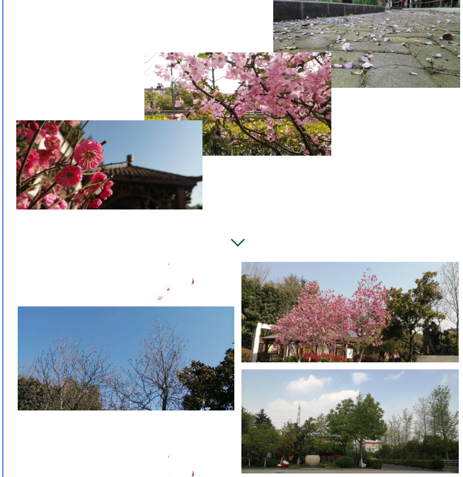 【悦群燕小】把握自己，做时间的主人 ——燕子矶中心小学假期学堂（十三）