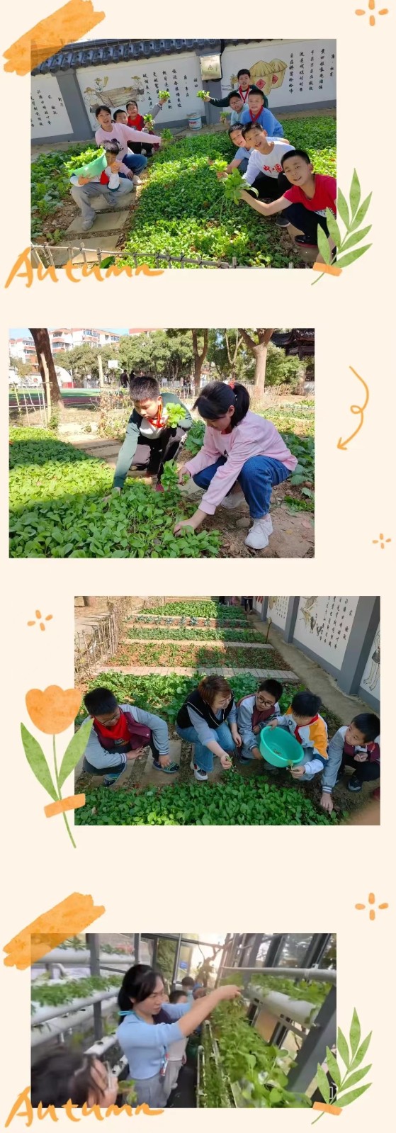 【悦群燕小 耘燕工坊】燕子矶中心小学“农耕体验坊”和“彦彦小厨房”学期活动回顾