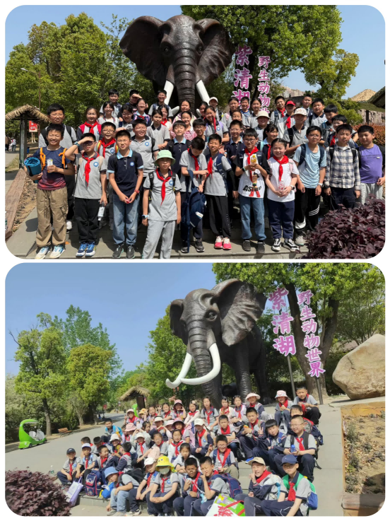 春游紫清湖新闻稿_html_m501ac8f6.png