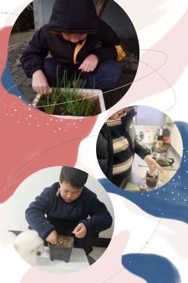 五年级寒假生活展示_html_5aaf7376.jpg