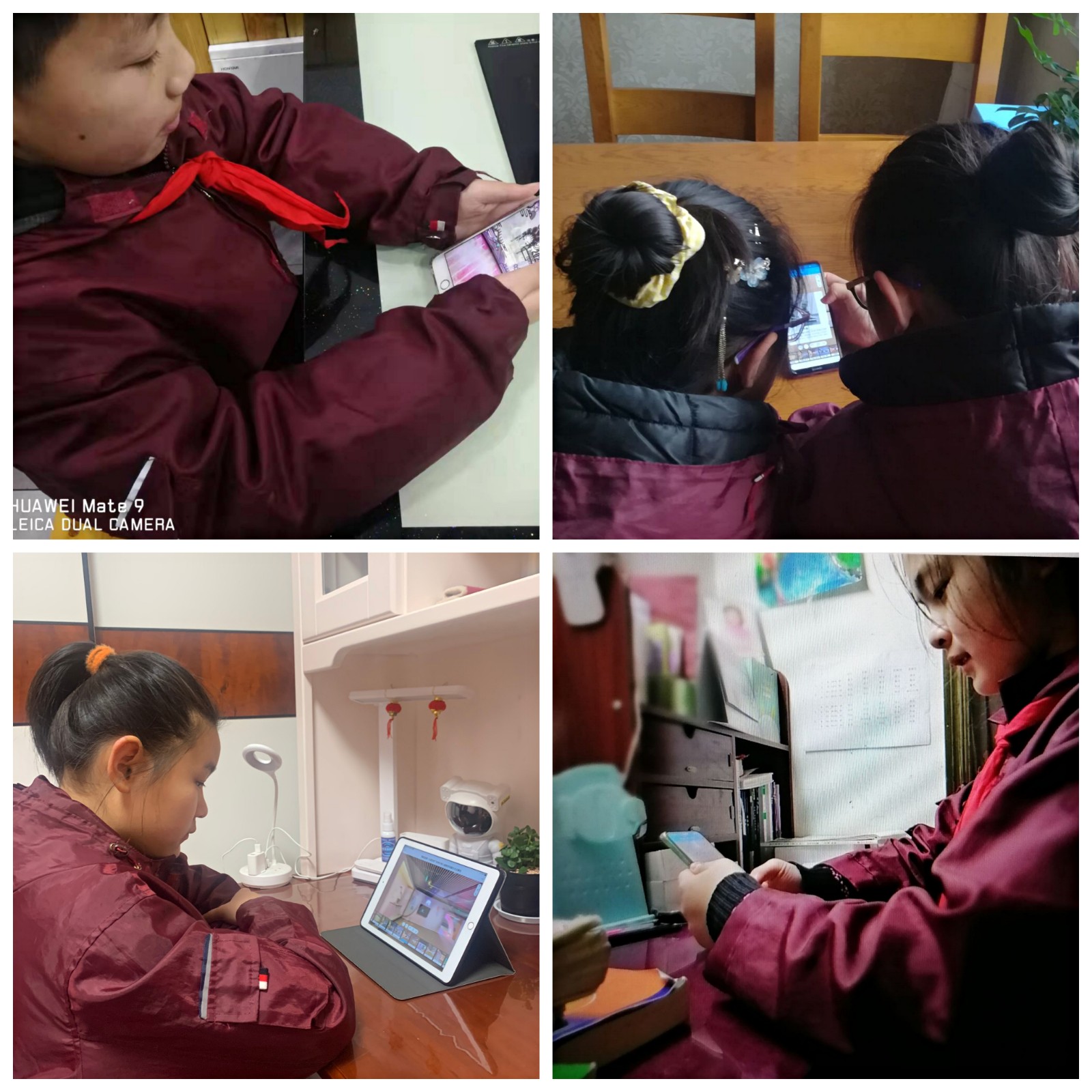 2022.1.27苔花小队云寻访4.jpg