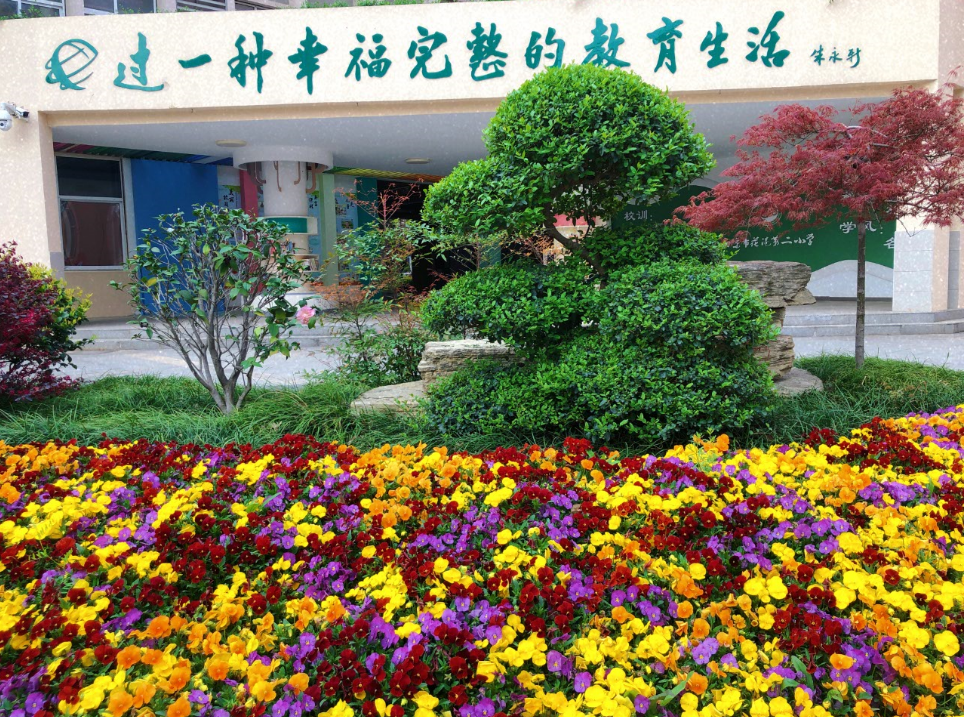 8JAGD9}SOLNO82X2%P)}7.png 8JAGD9}SOLNO82X2%P)}7.png