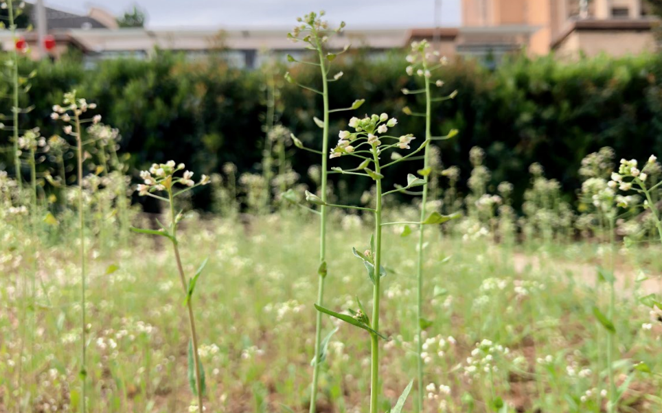 `N81(F()Q2J30MZ4)XWVYR.png `N81(F()Q2J30MZ4)XWVYR.png