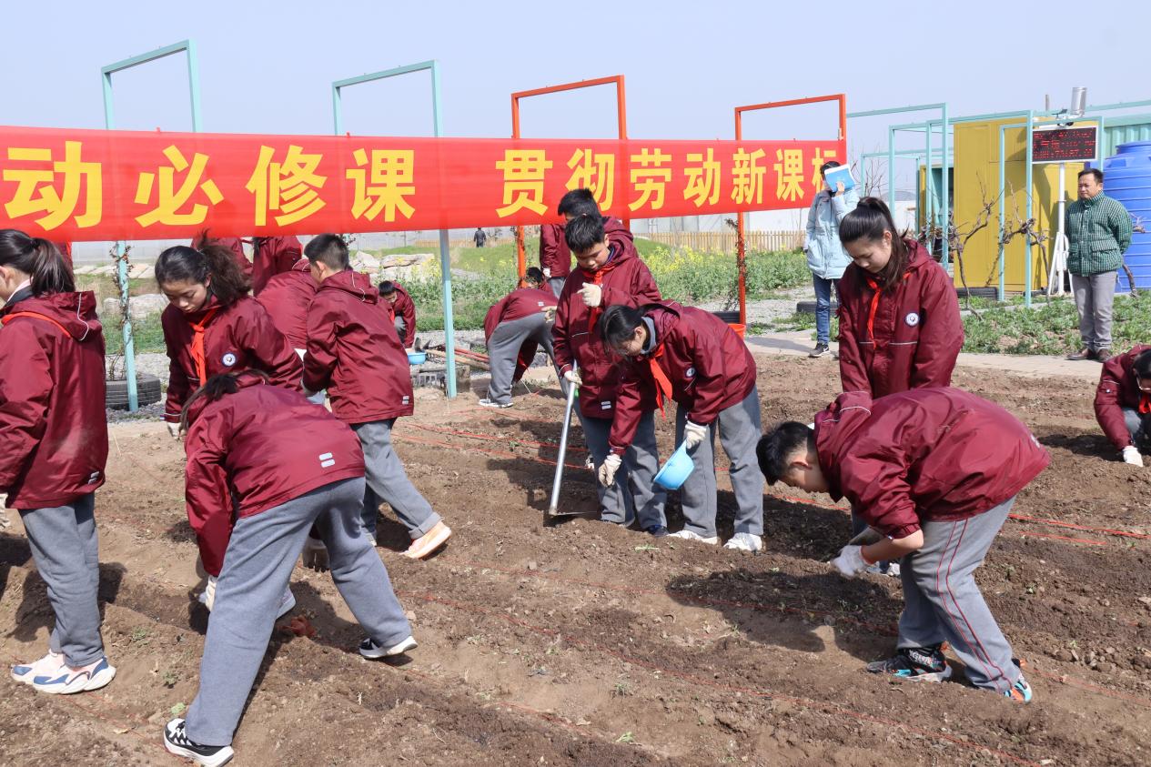 落实劳动必修课 贯彻劳动新课标(1)_html_250176c2.jpg