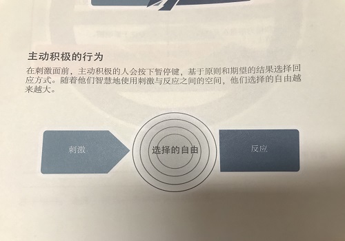 11.jpg 11.jpg
