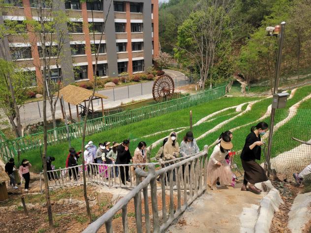 【石抱树·先锋行】南京市金陵小学和园校区三个党支部劳动教育主题党日_html_m7e9d11db.jpg