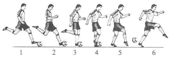 金陵小学校本课程足球教案专项课程_html_ma9664da.jpg