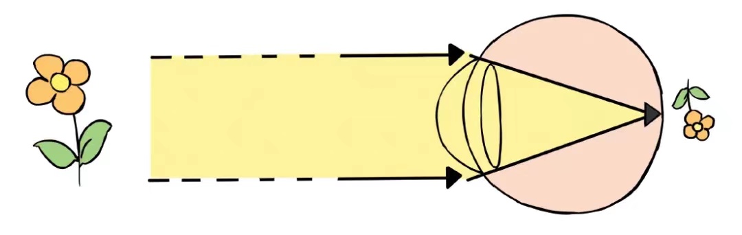 爱眼日_html_6e5194b2.jpg