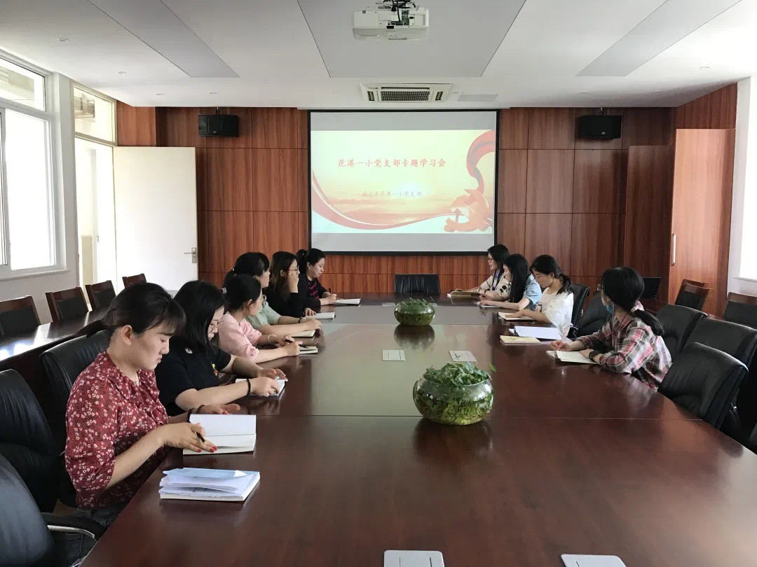 【阳光太阳城】学习精神，贯彻落实 ——花港一小党支部主题党日活动（八）