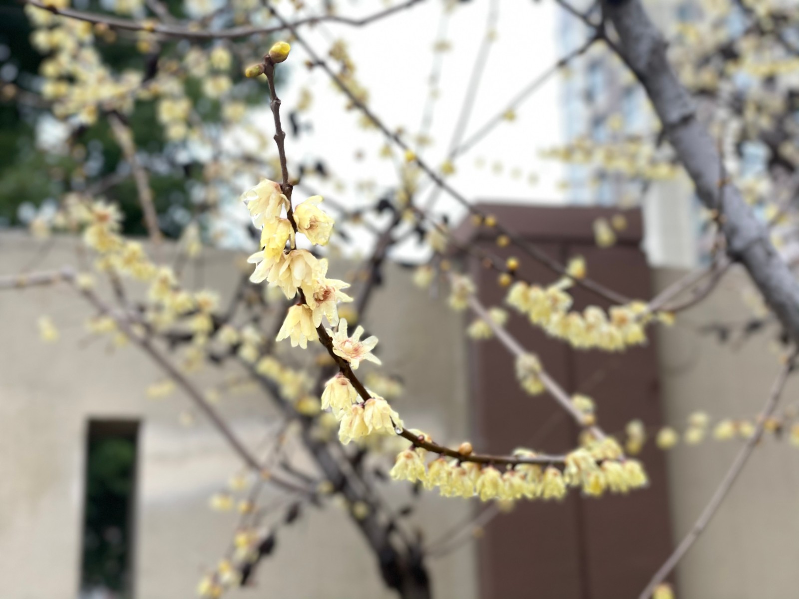 微信图片_20230302131058.jpg