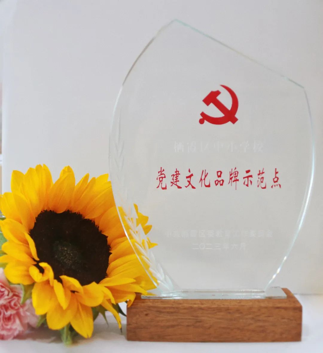 【温暖金初·喜报】热烈祝贺我校党总支成功申报南京市第三批中小学校党建文化品牌示范点！