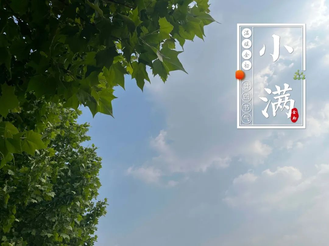 【温暖金初·廿四节气】小满——物致于此，小得盈满