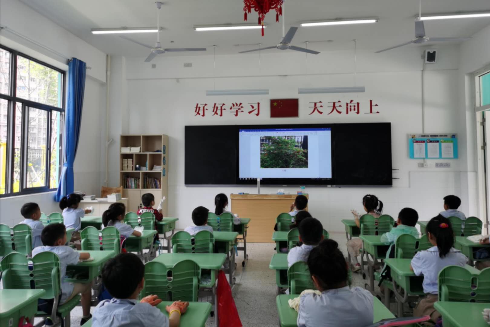 拔草13.jpg